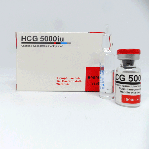 HCG Pregnyl 5000iu